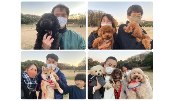 犬のしつけ教室・出張レッスン・無駄吠えの矯正レッスンを行うドッグスクール ヴィッセの今日のわん子達～12月4日 