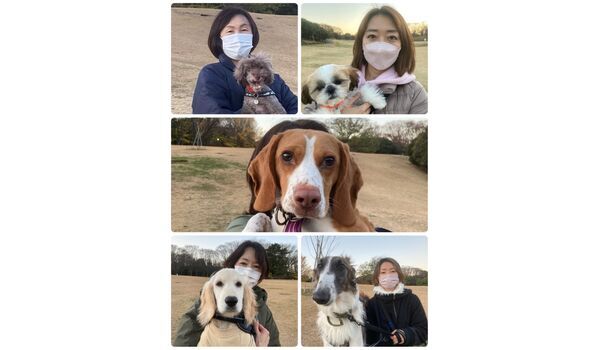 犬のしつけ教室・出張レッスン・無駄吠えの矯正レッスンを行うドッグスクール ヴィッセの今日のわん子達～12月9日 
