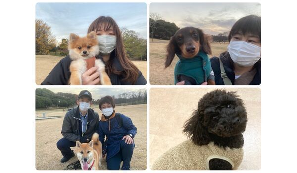 犬のしつけ教室・出張レッスン・無駄吠えの矯正レッスンを行うドッグスクール ヴィッセの今日のわん子達～12月10日 
