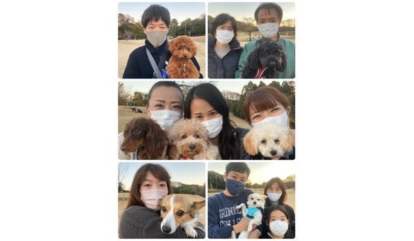 犬のしつけ教室・出張レッスン・無駄吠えの矯正レッスンを行うドッグスクール ヴィッセの今日のわん子達～12月11日 
