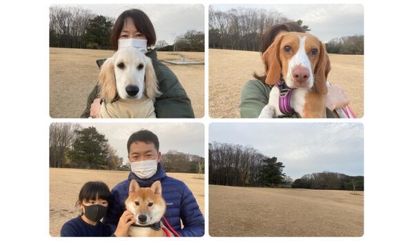 犬のしつけ教室・出張レッスン・無駄吠えの矯正レッスンを行うドッグスクール ヴィッセの今日のわん子達～12月17日 