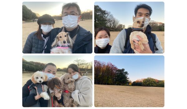 犬のしつけ教室・出張レッスン・無駄吠えの矯正レッスンを行うドッグスクール ヴィッセの今日のわん子達～12月18日 