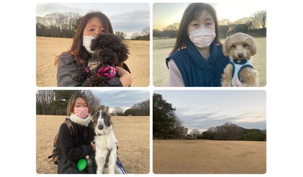 犬のしつけ教室・出張レッスン・無駄吠えの矯正レッスンを行うドッグスクール ヴィッセの今日のわん子達～12月22日 