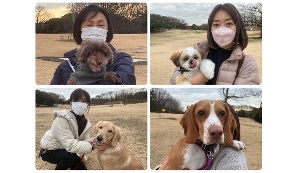 犬のしつけ教室・出張レッスン・無駄吠えの矯正レッスンを行うドッグスクール ヴィッセの今日のわん子達～12月23日 