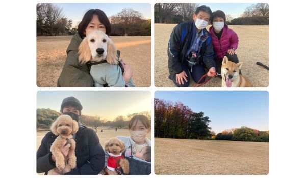 犬のしつけ教室・出張レッスン・無駄吠えの矯正レッスンを行うドッグスクール ヴィッセの今日のわん子達～12月24日 