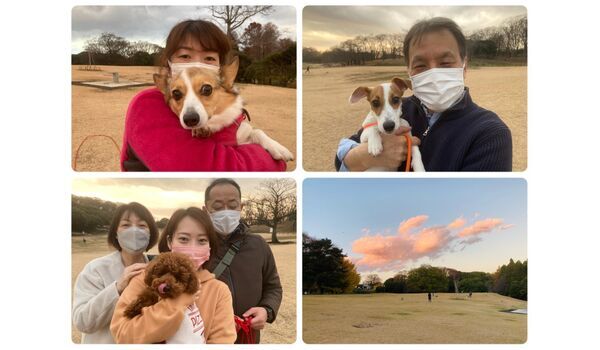 犬のしつけ教室・出張レッスン・無駄吠えの矯正レッスンを行うドッグスクール ヴィッセの今日のわん子達～12月25日 