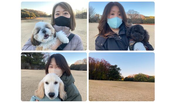 犬のしつけ教室・出張レッスン・無駄吠えの矯正レッスンを行うドッグスクール ヴィッセの今日のわん子達～1月14日 