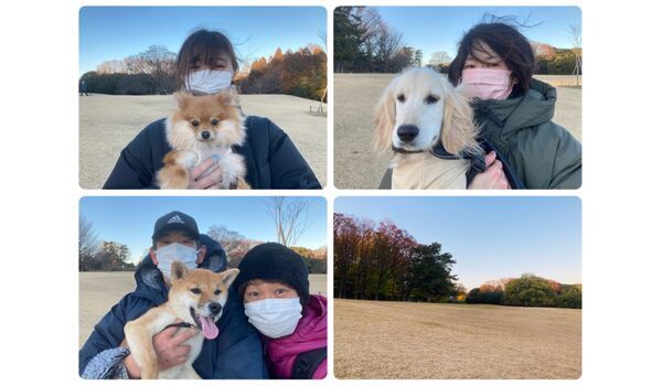 犬のしつけ教室・出張レッスン・無駄吠えの矯正レッスンを行うドッグスクール ヴィッセの今日のわん子達～10月21日 