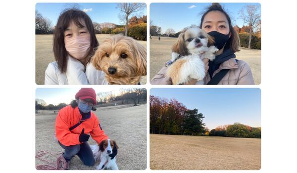 犬のしつけ教室・出張レッスン・無駄吠えの矯正レッスンを行うドッグスクール ヴィッセの今日のわん子達～2月11日 