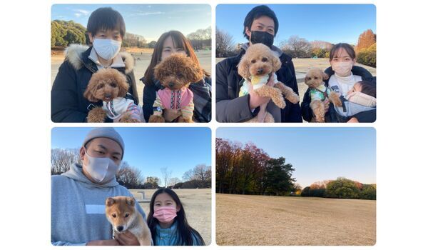 犬のしつけ教室・出張レッスン・無駄吠えの矯正レッスンを行うドッグスクール ヴィッセの今日のわん子達～2月12日 