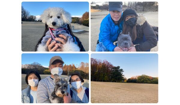 犬のしつけ教室・出張レッスン・無駄吠えの矯正レッスンを行うドッグスクール ヴィッセの今日のわん子達～2月16日 
