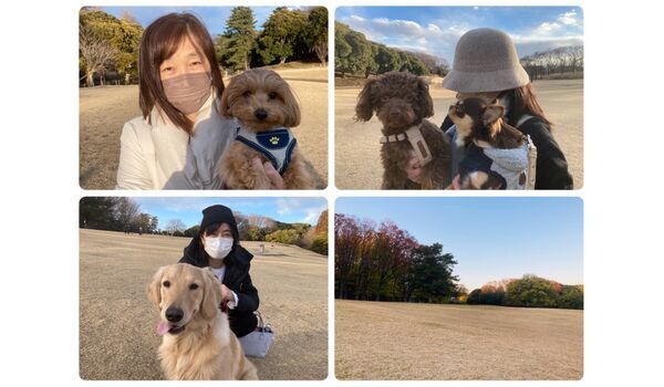 犬のしつけ教室・出張レッスン・無駄吠えの矯正レッスンを行うドッグスクール ヴィッセの今日のわん子達～2月17日 
