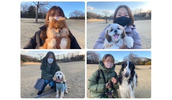 犬のしつけ教室・出張レッスン・無駄吠えの矯正レッスンを行うドッグスクール ヴィッセの今日のわん子達～2月18日 