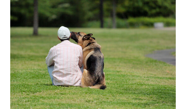 知らないことは、叱られても困るだけ～犬から信頼を得る飼い主になるには～
