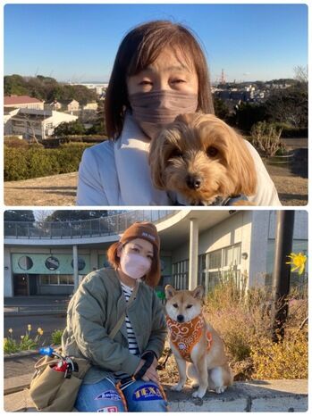 横浜市の犬のしつけ教室/今日のわんこ達。