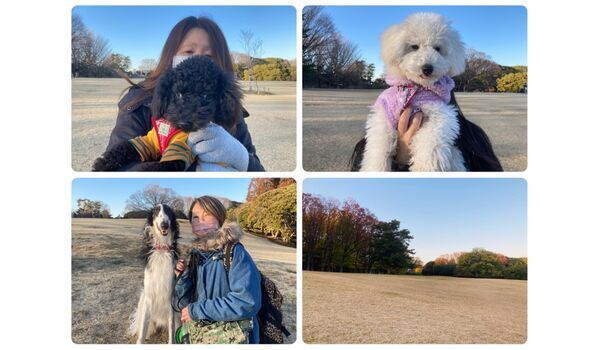 犬のしつけ教室・出張レッスン・無駄吠えの矯正レッスンを行うドッグスクール ヴィッセの今日のわん子達～2月125日 