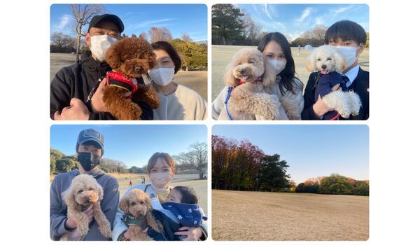 犬のしつけ教室・出張レッスン・無駄吠えの矯正レッスンを行うドッグスクール ヴィッセの今日のわん子達～2月26日 