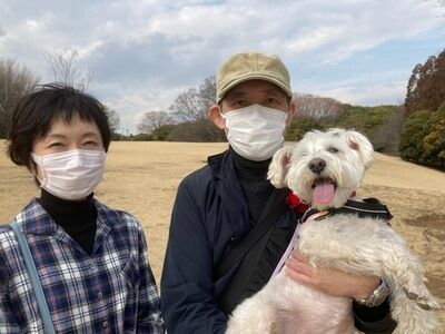 横浜市の犬のしつけレッスン/緑区 ミニチュアシュナウザー エマちゃん 4才