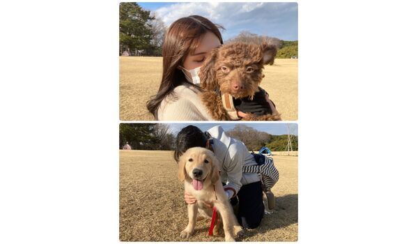 犬のしつけ教室・出張レッスン・無駄吠えの矯正レッスンを行うドッグスクール ヴィッセの今日のわん子達～3月6日 