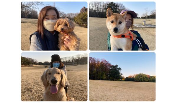 犬のしつけ教室・出張レッスン・無駄吠えの矯正レッスンを行うドッグスクール ヴィッセの今日のわん子達～3月10日 