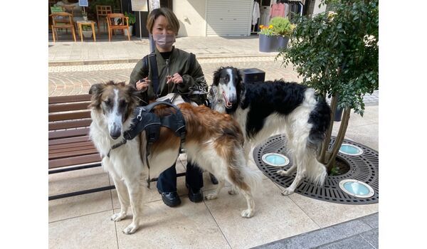 犬のしつけ教室・出張レッスン・無駄吠えの矯正レッスンを行うドッグスクール ヴィッセの今日のわん子達～3月11日 