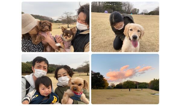 犬のしつけ教室・出張レッスン・無駄吠えの矯正レッスンを行うドッグスクール ヴィッセの今日のわん子達～3月13日 