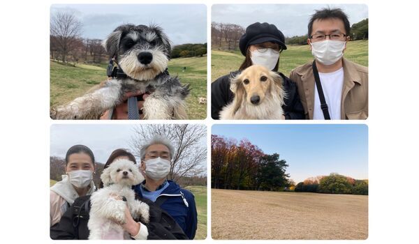 犬のしつけ教室・出張レッスン・無駄吠えの矯正レッスンを行うドッグスクール ヴィッセの今日のわん子達～3月26日 