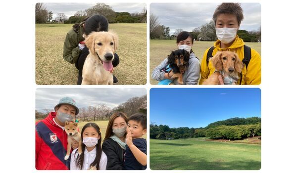 犬のしつけ教室・出張レッスン・無駄吠えの矯正レッスンを行うドッグスクール ヴィッセの今日のわん子達～3月27日 