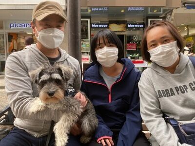 横浜市の犬のしつけ教室/今日のわん子達。