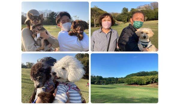 犬のしつけ教室・出張レッスン・無駄吠えの矯正レッスンを行うドッグスクール ヴィッセの今日のわん子達～4月8日 