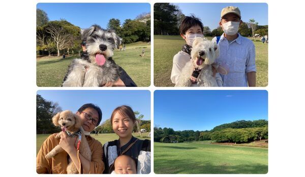 犬のしつけ教室・出張レッスン・無駄吠えの矯正レッスンを行うドッグスクール ヴィッセの今日のわん子達～4月10日 