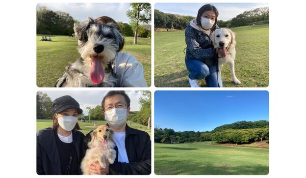 犬のしつけ教室・出張レッスン・無駄吠えの矯正レッスンを行うドッグスクール ヴィッセの今日のわん子達～4月16日 