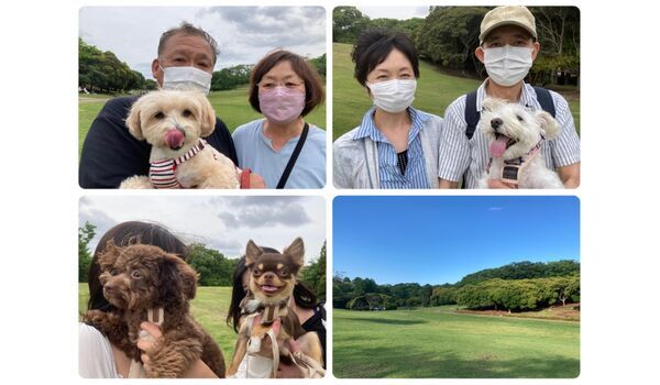 犬のしつけ教室・出張レッスン・無駄吠えの矯正レッスンを行うドッグスクール ヴィッセの今日のわん子達～5月6日 