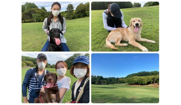 犬のしつけ教室・出張レッスン・無駄吠えの矯正レッスンを行うドッグスクール ヴィッセの今日のわん子達～5月14日 