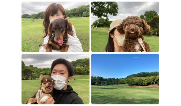 犬のしつけ教室・出張レッスン・無駄吠えの矯正レッスンを行うドッグスクール ヴィッセの今日のわん子達～5月15日 