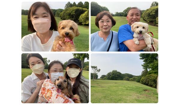 犬のしつけ教室・出張レッスン・無駄吠えの矯正レッスンを行うドッグスクール ヴィッセの今日のわん子達～5月20日 