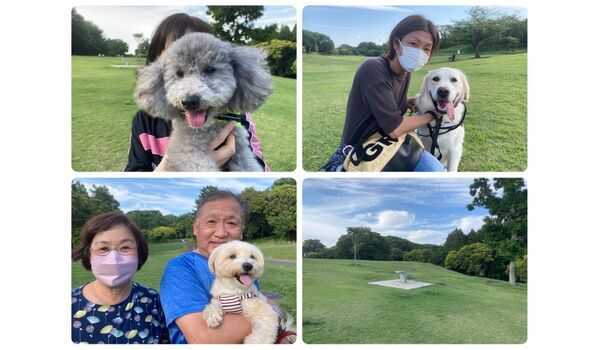 犬のしつけ教室・出張レッスン・無駄吠えの矯正レッスン行うドッグスクールヴィッセの今日のわんこ達