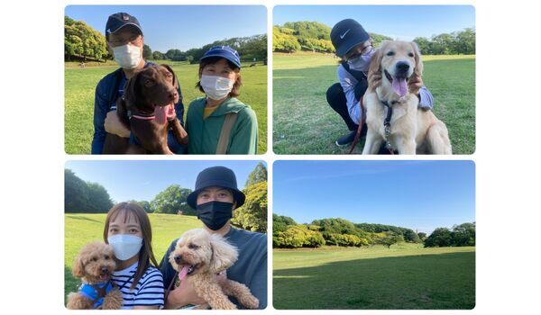 犬のしつけ教室・出張レッスン・無駄吠えの矯正レッスンを行うヴィッセの今日のわんこ達