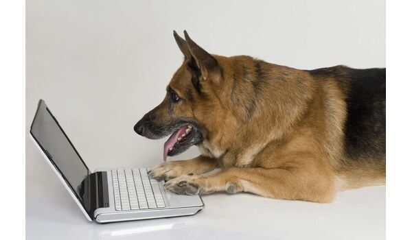 家庭犬のしつけって何？～しつけの歴史～