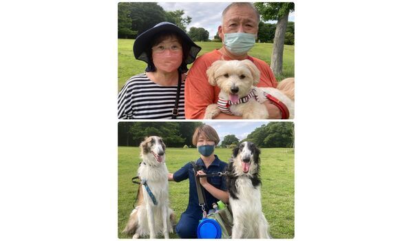 犬のしつけ教室・出張レッスン・無駄吠えの矯正レッスン行うドッグスクールヴィッセの今日のわんこ達～6月10日