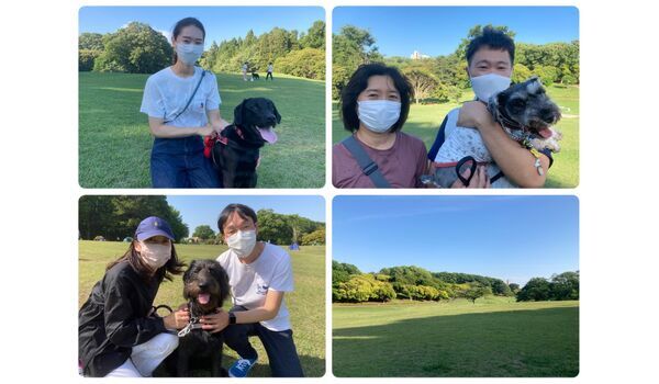 犬のしつけ教室・出張レッスン・無駄吠えの矯正レッスン行うドッグスクールヴィッセの今日のわんこ達～6月25日