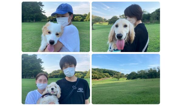 犬のしつけ教室・出張レッスン・無駄吠えの矯正レッスン行うドッグスクールヴィッセの今日のわんこ達です～6月30日