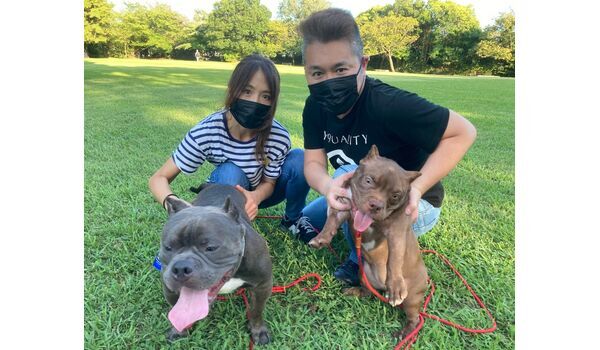 犬のしつけ教室・出張レッスン・無駄吠えの矯正レッスンを行うドッグスクールヴィッセの今日のわん子達です～8月10日