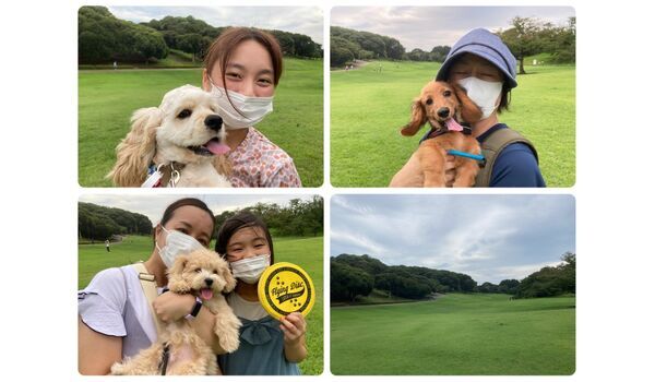 犬のしつけ教室・出張レッスン・無駄吠えの矯正レッスンを行うドッグスクールヴィッセの今日のわん子達です～8月12日