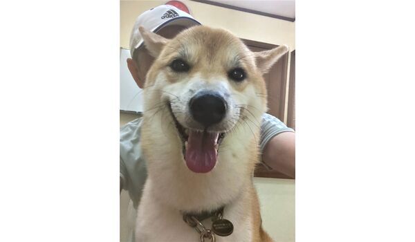 犬のしつけ教室・出張レッスン・無駄吠えの矯正レッスンを行うドッグスクールヴィッセの今日の新入生です～8月30日～