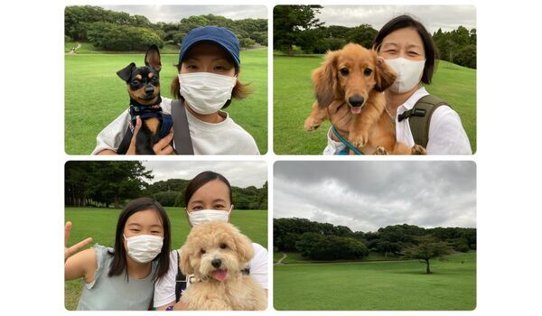 犬のしつけ教室・出張レッスン・無駄吠えの矯正レッスンを行うドッグスクールヴィッセの今日のわん子達です～9月8日