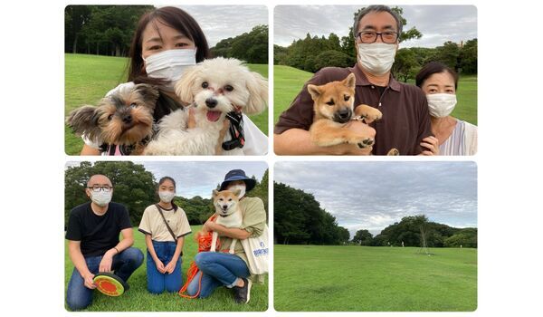 犬のしつけ教室・出張レッスン・無駄吠えの矯正レッスンを行うドッグスクール ヴィッセの今日のわん子達～9月17日 