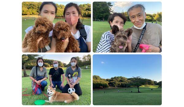 犬のしつけ教室・出張レッスン・無駄吠えの矯正レッスンを行うドッグスクール ヴィッセの今日のわん子達～10月1日 