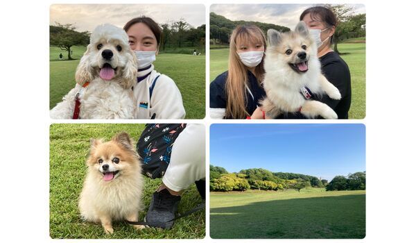 犬のしつけ教室・出張レッスン・無駄吠えの矯正レッスンを行うドッグスクール ヴィッセの今日のわん子達～10月14日 
