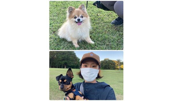 犬のしつけ教室・出張レッスン・無駄吠えの矯正レッスンを行うドッグスクール ヴィッセの今日のわん子達～10月20日 